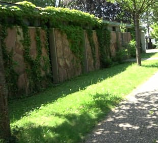 Friedhof Handschuhsheim