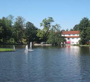 Schönsee