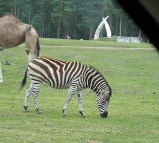 Serengeti Park Hodenhagen
