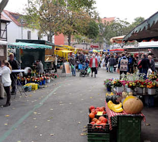 Spaziergang über den Göttinger Wochenmarkt
