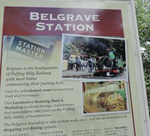 Hier geht es zum Dampfzug Puffing Billy