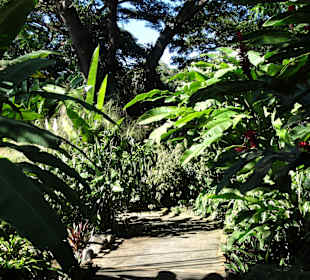 Impressionen aus dem Jardin Botanique de Deshaies