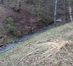 Ochsenweiher Rundweg