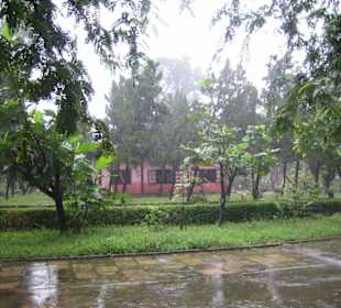 Auf dem Gelände der Thien Mu-Pagode