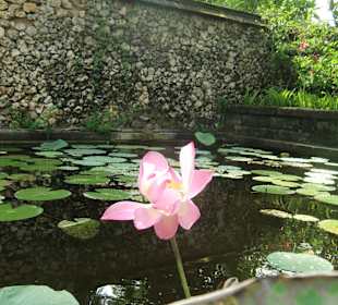 Rundreise mit Guide Wayan Pageh