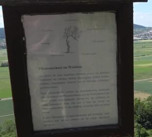 Weinlehrpfad Wurmlingen