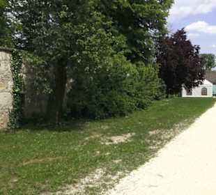 Benediktinerkloster Lorch