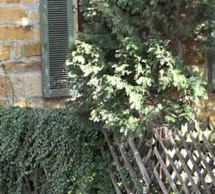 Unteres Backhaus