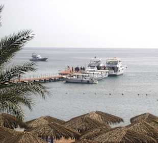 Blick auf die Marina mit Booten