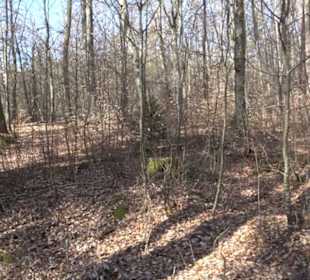 Historischer Rundwanderweg Aichtal