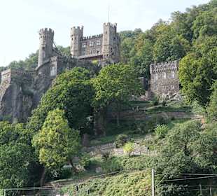 Wandern Flörsheim-Dalsheim