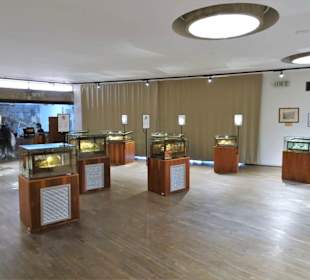 In den Ausstellungsräumen der Wachssammlung