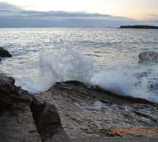 Dzikie fale