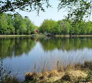 Impressionen vom Rundgang um das Ottermeer