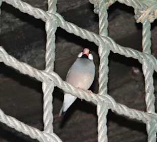 Rundgang im Tierpark