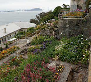 Der wunderschöne Garten auf Alcatraz