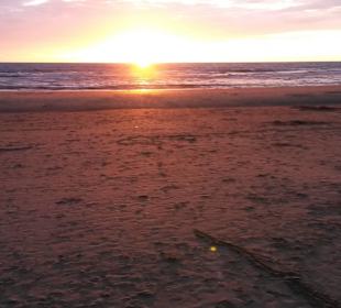 Sommemuntergang Strand Julianadorp