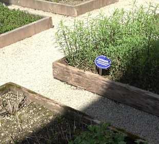 Kräutergarten Blaubeuren