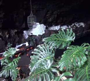 Jameos del Agua 