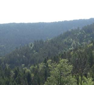 Teufelskanzelsteig Bad Griesbach