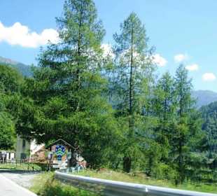 Die Parkbucht war meine erste überhaupt dort 