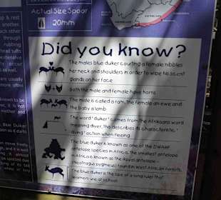 Aussichtspunkt Knysna