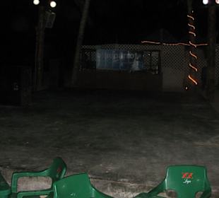 Tanzfläche Blue Parrot