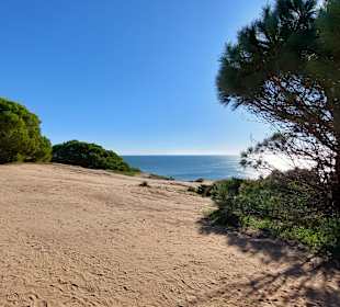 Seven Hanging Valleys Trail 