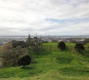Sicht auf Auckland