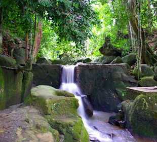 Magic Garden