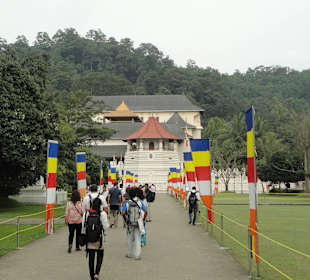 Temple of the Sacred Tooth