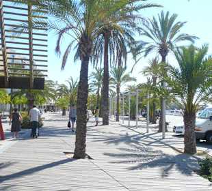 Ausflugstipp: Port D'Alcudia