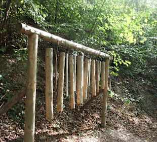 Klangspiel mitten im Wald