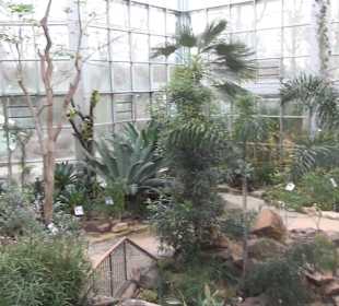 Tropicarium - Trockentropen