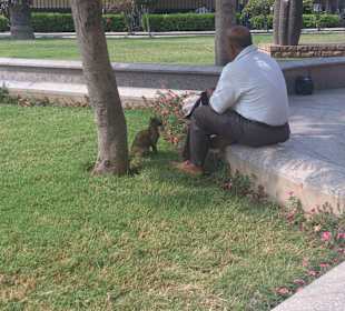 Nationalmuseum Kairo