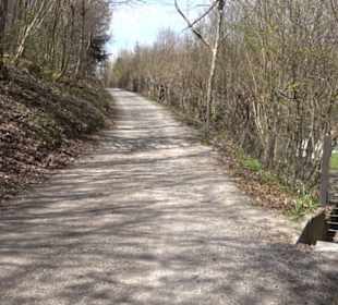 Spazierweg Ritter Museum