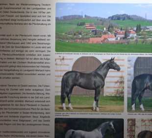 Gestütsmuseum Offenhausen