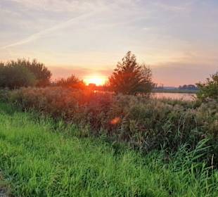 Wandern Biddinghuizen