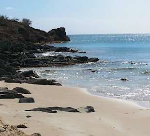 Am Strand