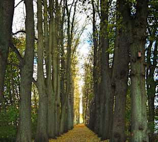 Парк Замка Ойтин. Золотая осень.