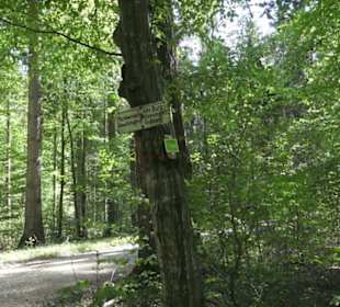 Wanderweg Hochgehwachsen