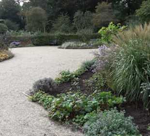 Rosengarten im Tiergarten