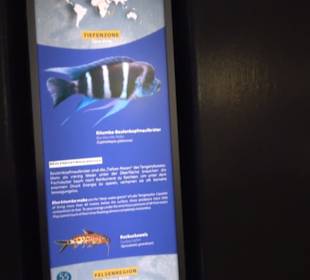 Aquarium
