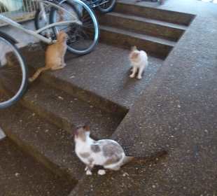 Für Sie fällt immer etwas ab.