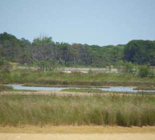 Strand von Bibione 06-2010