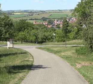 Weinlehrpfad Wurmlingen