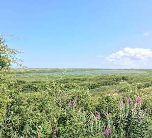 Blick aufs Naturschutzgebiet
