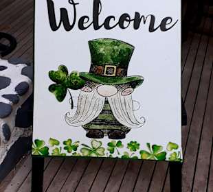 The Dubliner Irish Bar