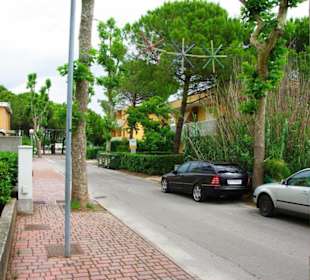 Bibione im Bild 06-2011