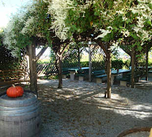 Im Garten